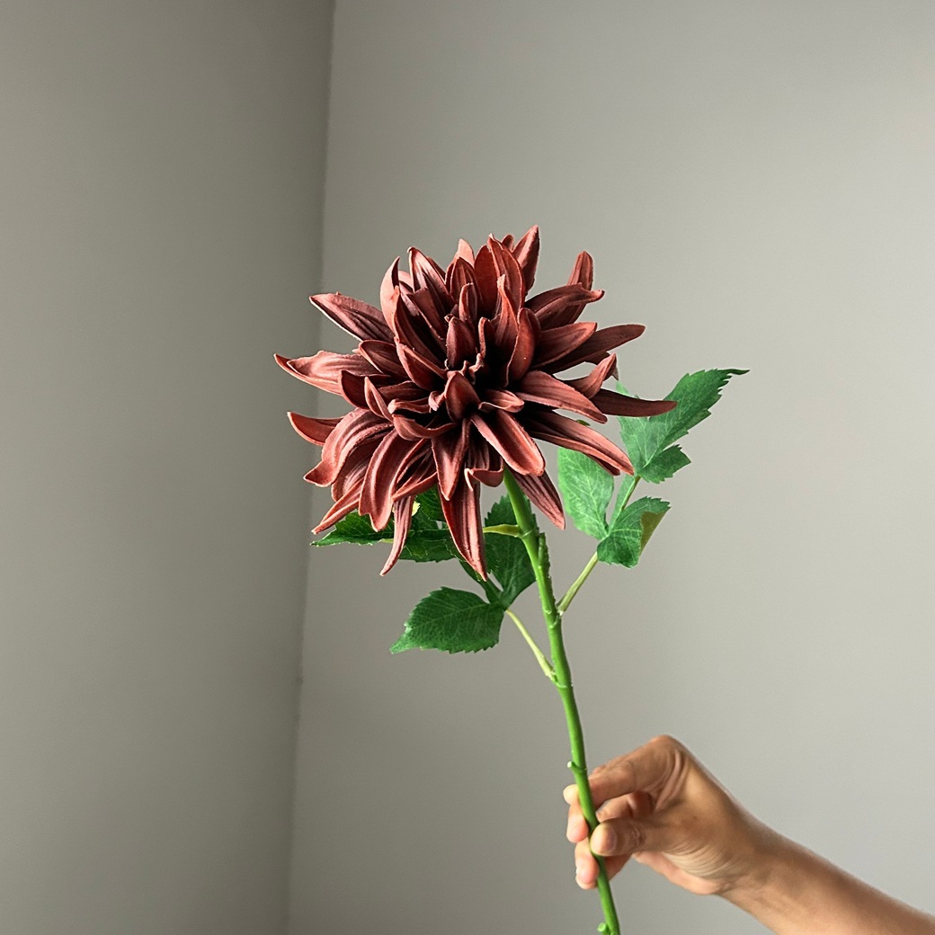 Deep coffee
