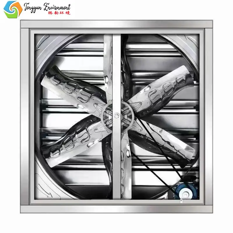 Estrattore de aire para invernadero serra aria di raffreddamento industriale ventilatore di vento Siemens motore pollame ventilatore di scarico