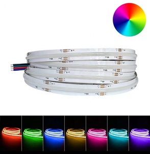Colorful IP67 RGB <strong>LED</strong> Strip Waterproof 24V 12V 220V 110V RGB <strong>Led</strong> Light With Remote Control Outdoor Light Red Blue Green Yellow - Product Image 6