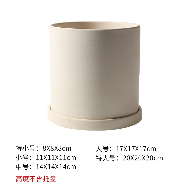 Blank bouilli droit (avec plateau)