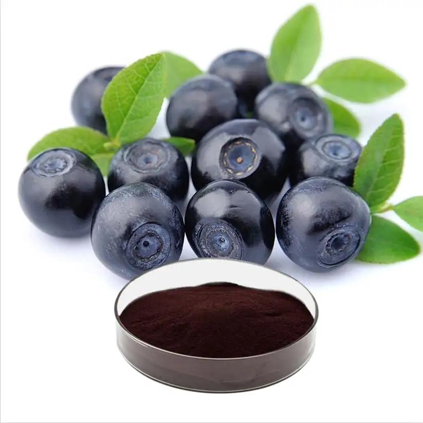 Thực Vật Anthocyanidin Blueberry Bilberry Chiết Xuất Bột 25% Anthocyanin Khai Thác