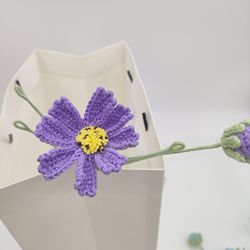 001Violet (2)
