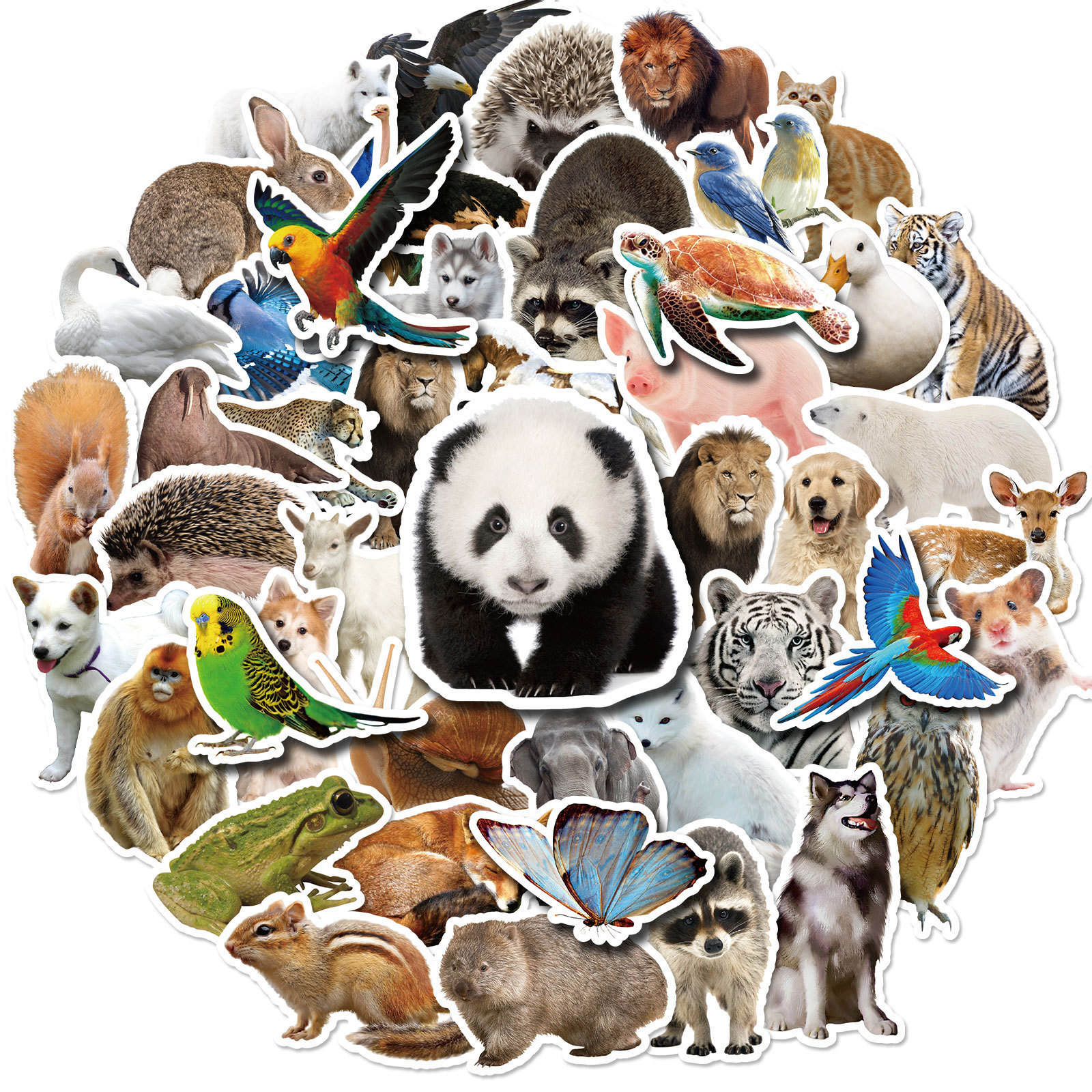 T01040603 - Realistic Animal Images 50 sheets