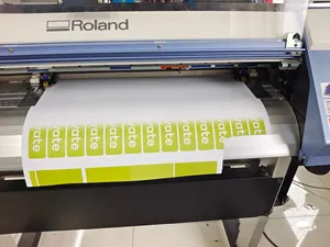 Kullanılan Roland Versacamm Vs-300I baskı kesici ikinci el Roland Vs-300I yazıcı Vs300I yazıcı kesici Vs300I makinesi - Product Image 6