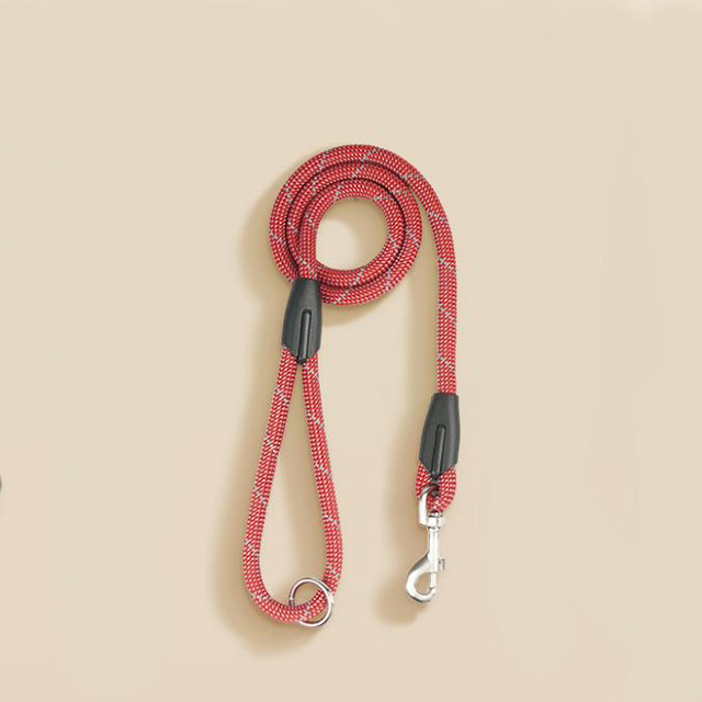 leash1