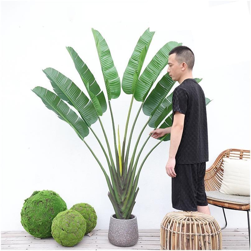 Oiseau de Paradis Overlord 190 cm + Petit Pot à Fond Rond