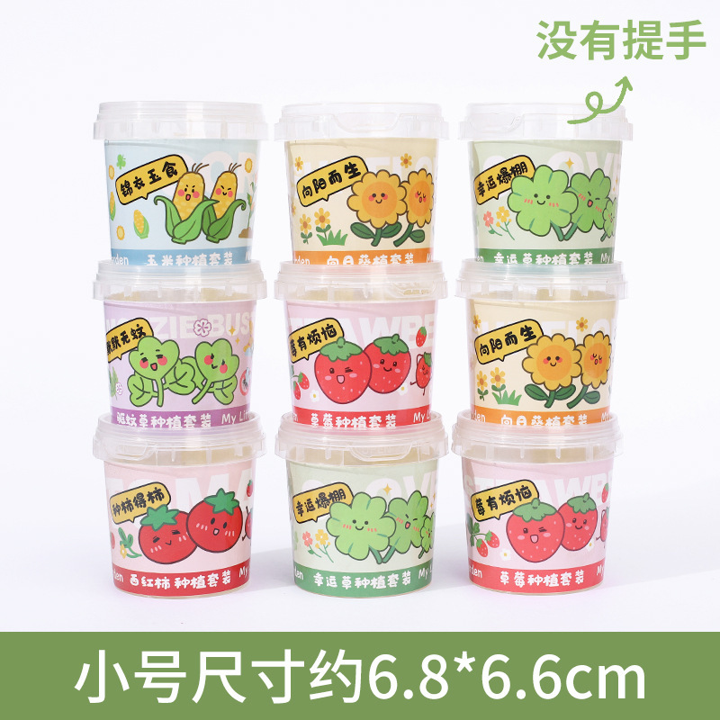 Small transparent flower pot-no handle