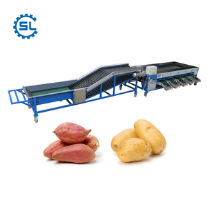 6 Ton/H mini patata cebolla camote niveladora clasificación máquina de selección - Product Image 3