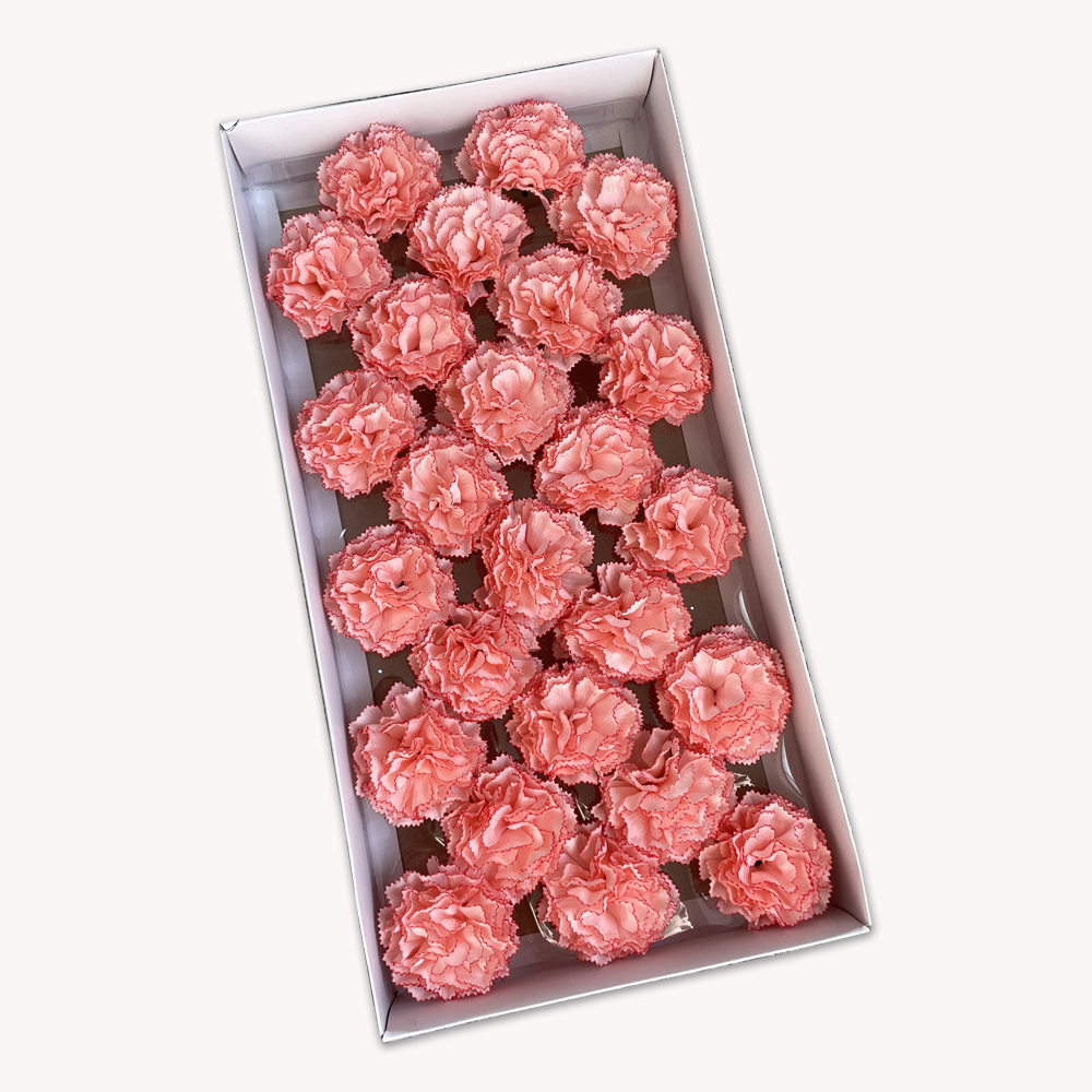 sandia roja