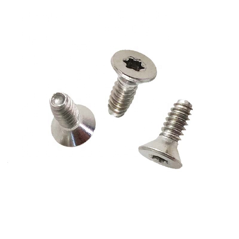 torx screw