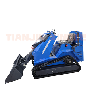 Trung Quốc Nhà sản xuất 0.3ton Skid chỉ đạo với CE/EPA động cơ theo dõi Skid chỉ đạo Bộ nạp đi xe trên Mini Crawler loader Giao hàng nhanh - Product Image 3