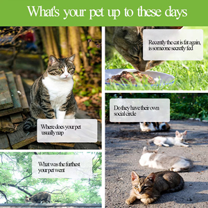 ミニGPSデータロガー防水GPSトラッカーロガー猫犬ペットスポーツハイキング旅行者マッピング調査ナビゲーション - Product Image 6