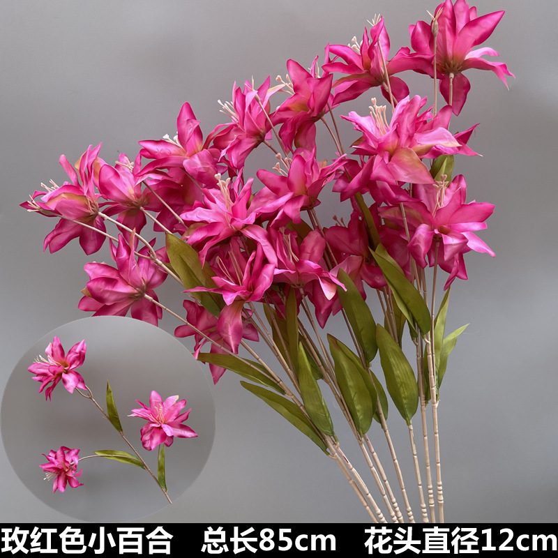 Lirio pequeño rojo rosado