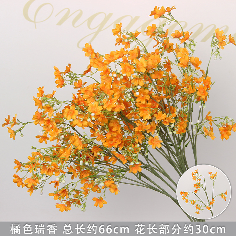 Branche de Daphné orange