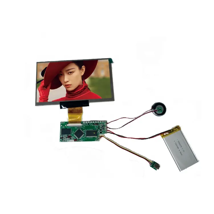 60 دبابيس TFT-LCD RGB واجهة لوحة تحكم 7 بوصة 800x480 الدقة المشهد نوع شاشة LCD مع إضاءة خلفية بيضاء