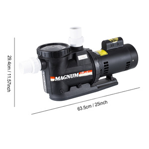 Jazzi 2.0HP 0.75kw duy nhất tốc độ hồ bơi Spa bơm với DC động cơ 220V 50Hz lọc cho hồ bơi và Spa sản phẩm - Product Image 3