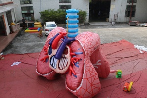 Winsun Inflatable thực tế tim và phổi mô hình cho y tế chủ đề quảng cáo tổ chức sự kiện phổi với khối u cho y tế - Product Image 5
