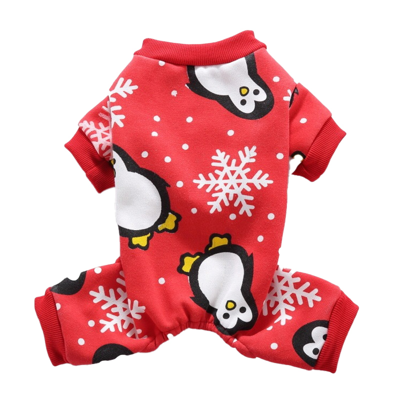pingüino rojo