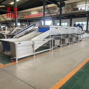 Ginger lavaggio e asciugatura linea di produzione a basso consumo energetico ad alto rendimento grande capacità di funzionamento continuo - Product Image 3