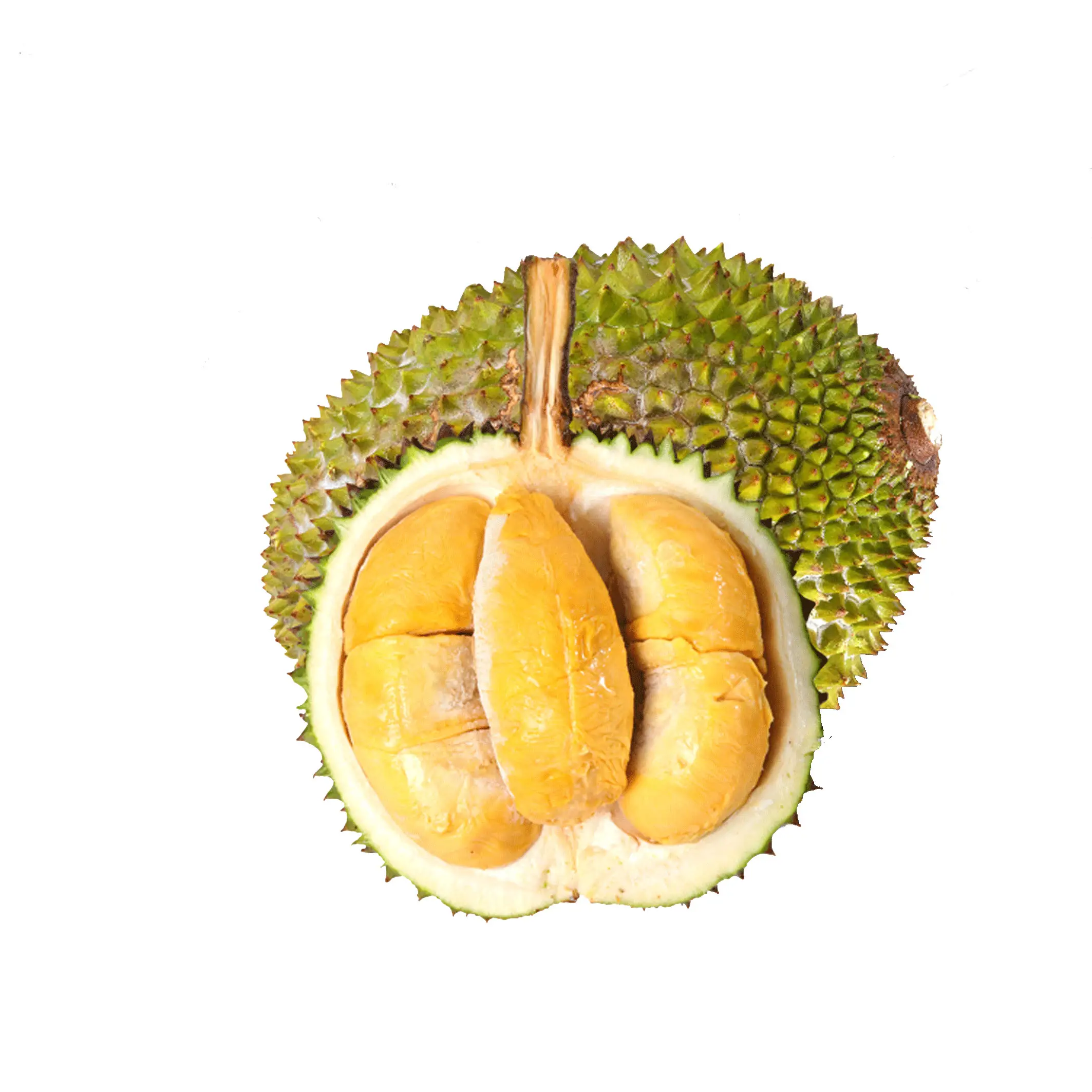 Produk Top buah Durian segar kualitas tinggi ekspor Harga Bersaing buah jual panas Durian untuk dijual