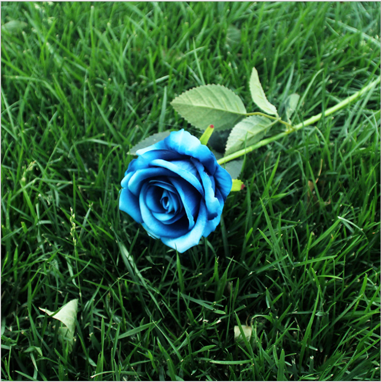 Blue