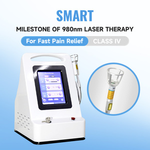 Klasse 4 Kaltlaser-Therapie gerät Tragbares 1064nm 980nm Wellenlängen Physiotherapie-Laser gerät zur Schmerz linderung beim Tierarzt - Product Image 3