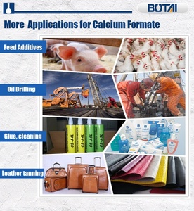 FORCA Cas 544-17-2 Tec级甲酸钙粉末化学式Ca(hcoo)2混凝土促进剂外加剂 - Product Image 4