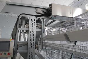 蛋鸡自动饲养鸡定量精密饲喂系统