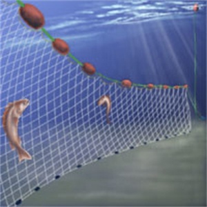 Frizbi Cast Net 1*60m ile küçük balık lastik hattı için düşük fiyat Gillnet balık ağı - Product Image 4