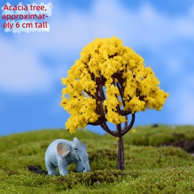 Acacia tree