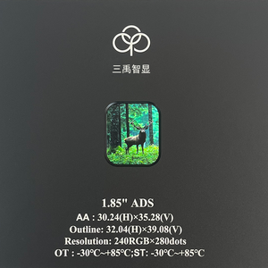 Moduli dello schermo del Display Lcd a colori da 1.85 pollici per Smart Watch - Product Image 4
