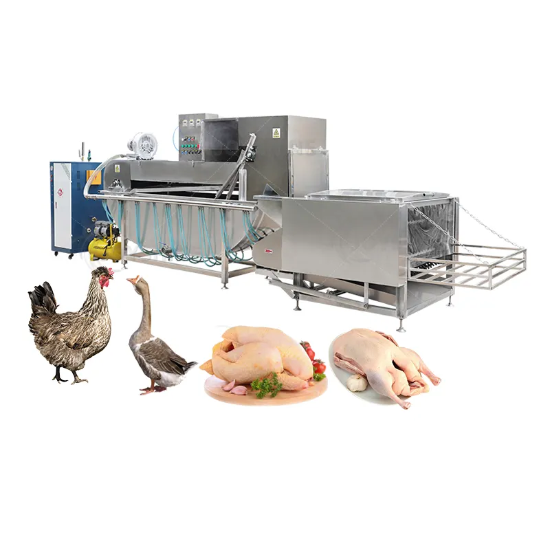 Automatic Abattoir equipment halal poultry chicken slaughtering processing scalding plucking machine for sale