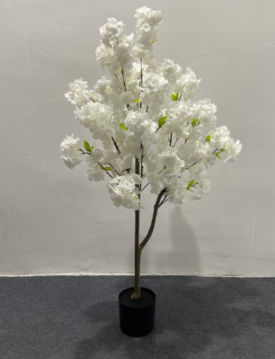 1,2 m/3,94 pieds-blanc