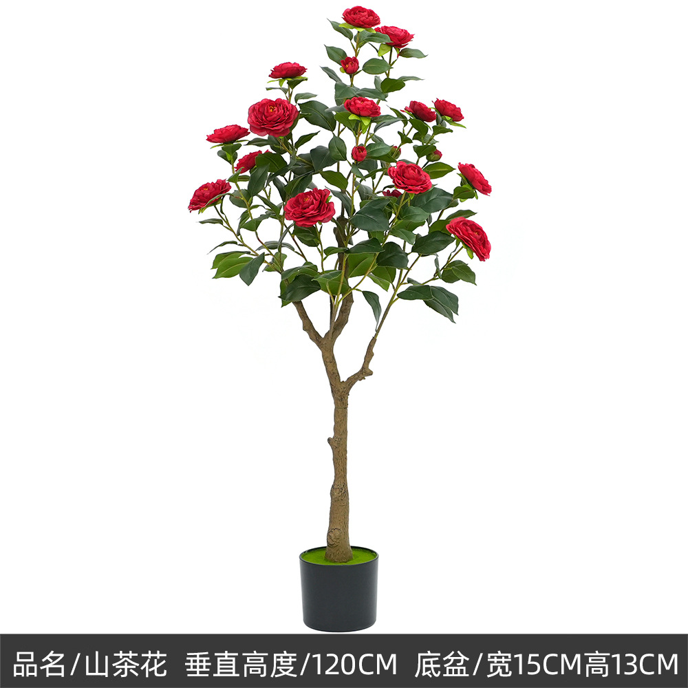 120cm camélia, rouge