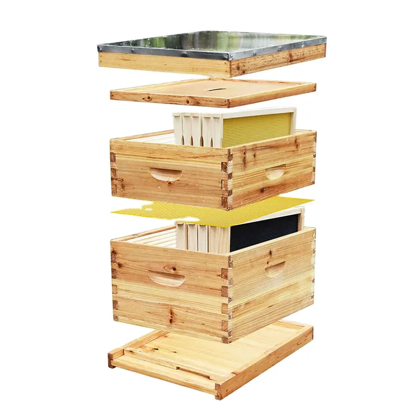 Herramientas de apicultura, colmena de abejas, caja de apicultura, venta al por mayor