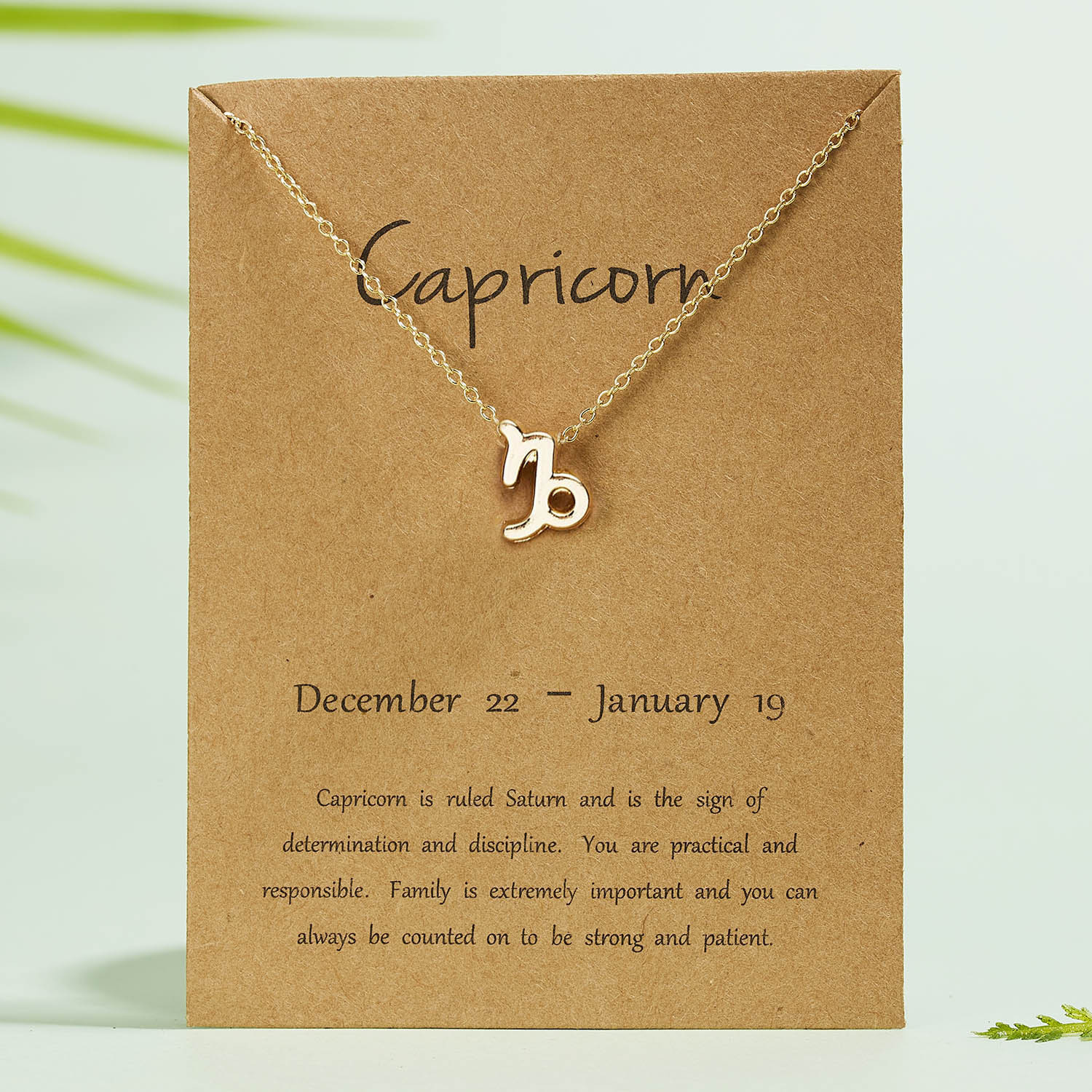 Capricornio
