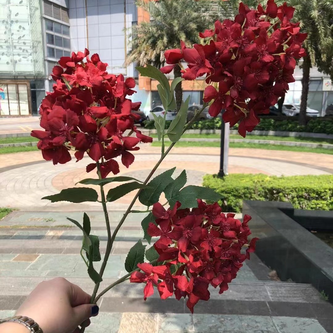 3 pagoda hydrangea red