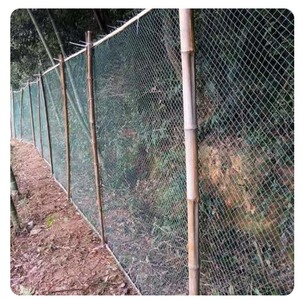 Fabrika en iyi fiyat Anti kuş netleştirme avlu bahçe çit Yard çiftlik meyve ağacı bahçe Fishpond için koruma ağı tavuk Net - Product Image 5