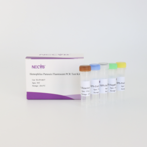 HPS (Haemophilus parasuis) Fluorescent PCR Detection Kit - TaqMan Probe Method, High Sensitivity for Swine Farms - Product Image 3