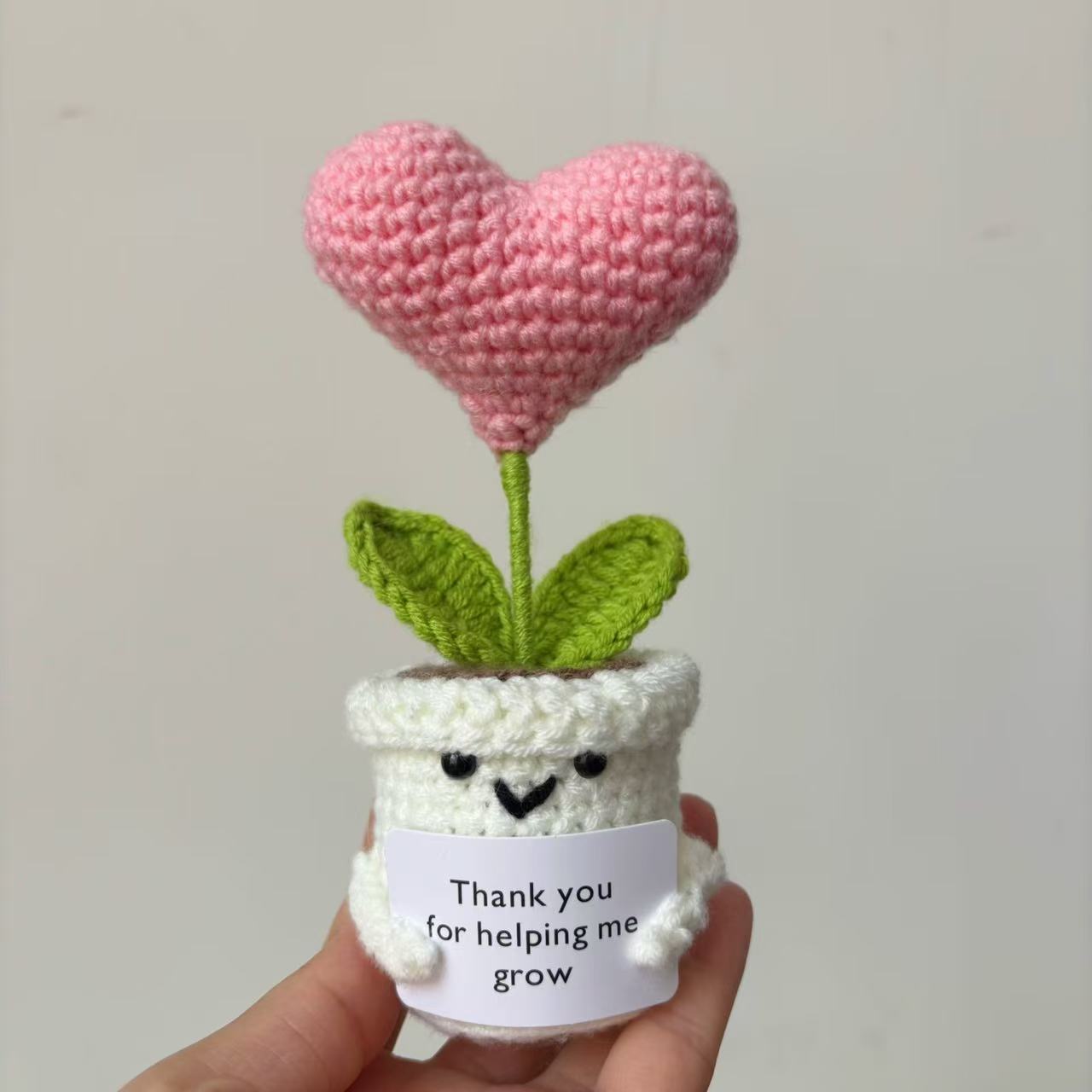 White potted plant of love