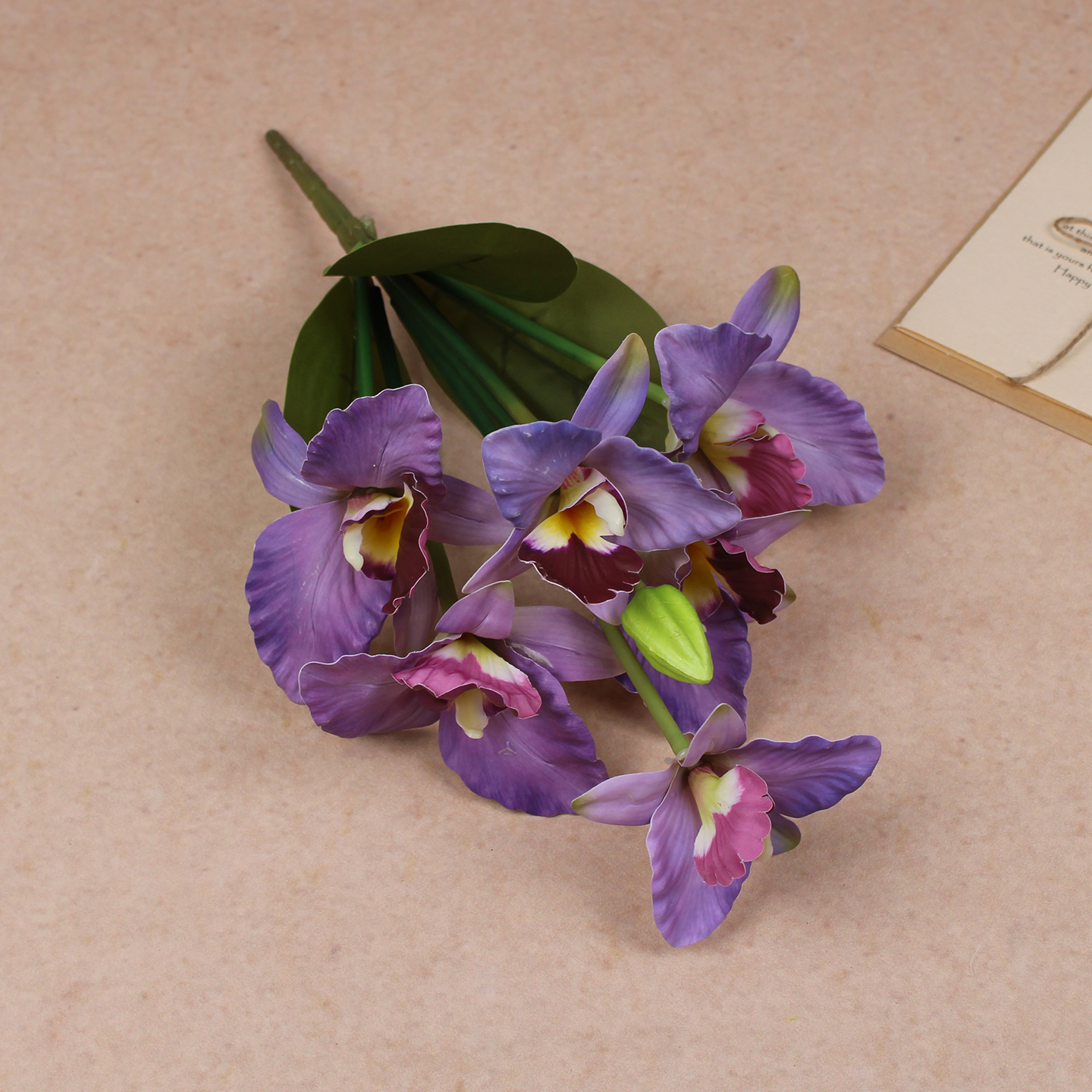 Violeta