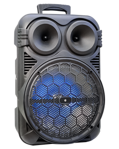 Fashion Model 12 Inch <strong>Amplifier</strong> Wired MIC Speaker with Led Display - Product Image 5