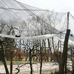 Stagno Foglia Skimmer Netto Albero Crop Protezione Anti Ape Uccello Grandine Rete A Prova di