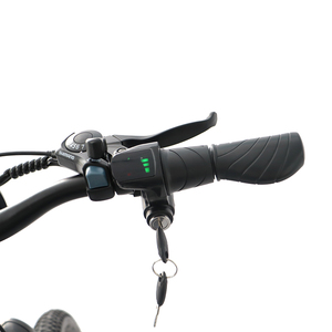 Fabrika fiyat 36V elektrikli yol bisikleti 350W Hub Motor süspansiyon çatalı yetişkin elektrikli bisiklet tüp lityum pil çelik çerçeve