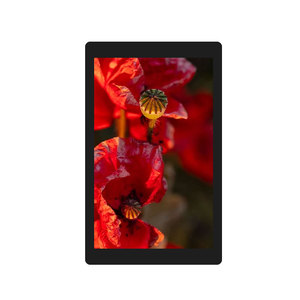 Monitor IPS de 8 pulgadas con pantalla TFT LCD de 800*1280 Módulo de pantalla LCD de 8 pulgadas de alta resolución compatible con MIPI - Product Image 1