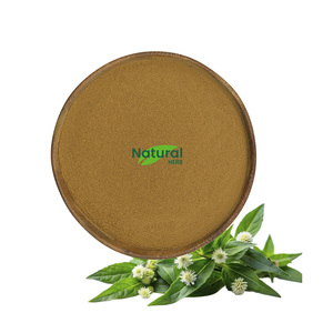 OEM özel ambalaj Eclipta Prostrata özü su çözünen toz Eclipta Prostrata konsantre toz - Product Image 2