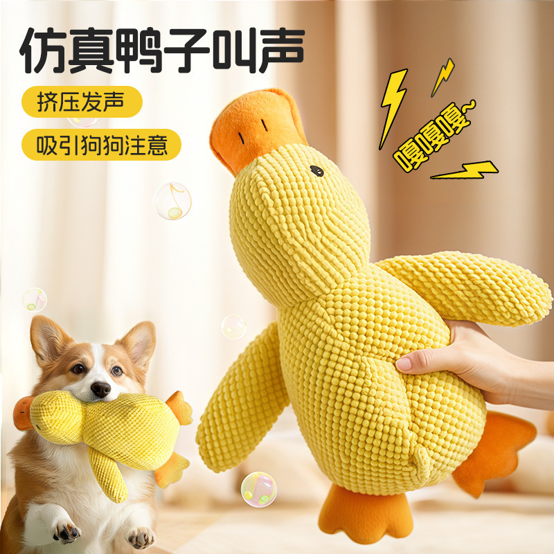Companion duck alt account