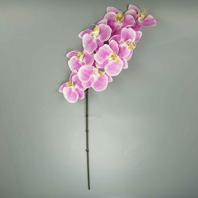 Fuchsia clair