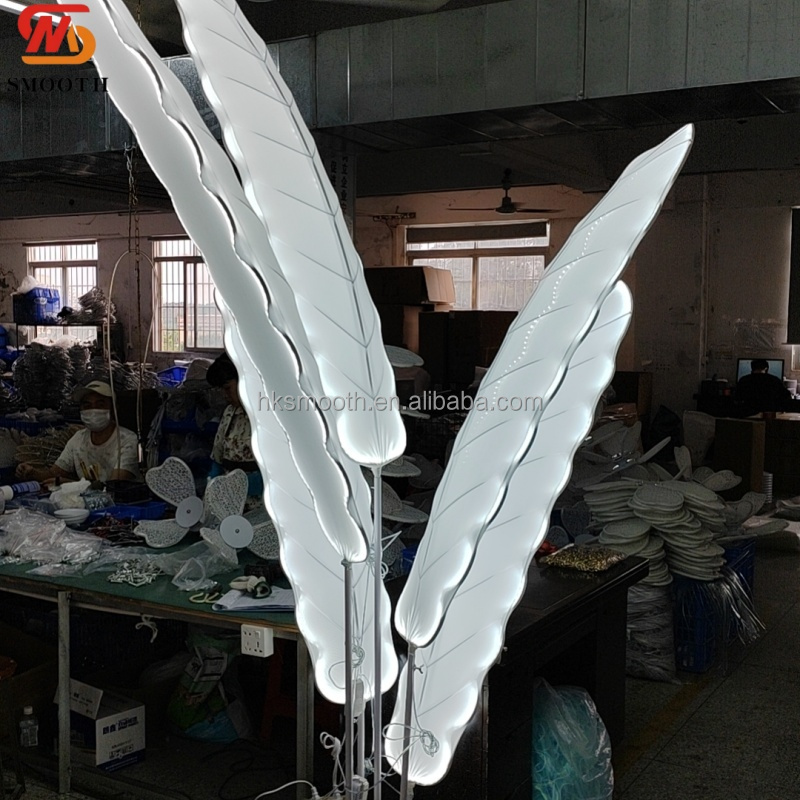 white light