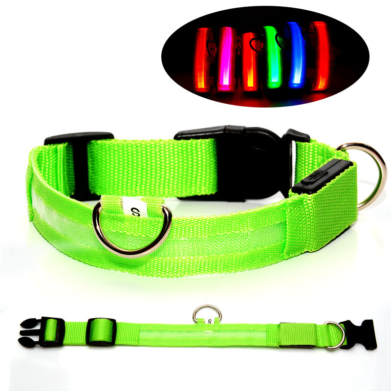 Collar para perro verde 3